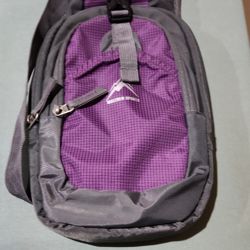 Purple and Gray Men's Bag
